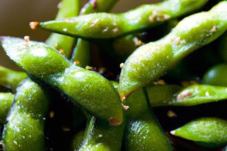 Edamame with Sea Salt: A Simple Snack Packed with Power