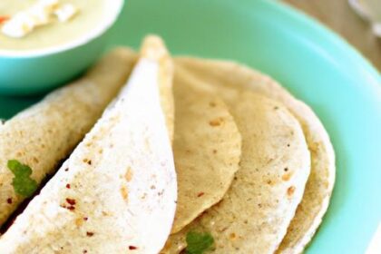 Wholesome Coconut Flour Tortillas: A Gluten-Free Delight