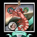 Spice and Freshness United: The Story of Shrimp Aguachile